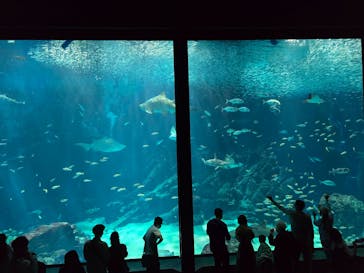 マリンワールド海の中道に投稿された画像（2024/10/11）