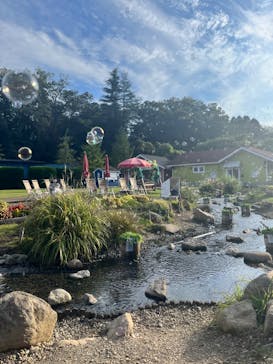 ムーミンバレーパークに投稿された画像（2024/10/11）