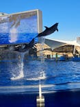 名古屋港水族館に投稿された画像（2024/10/12）