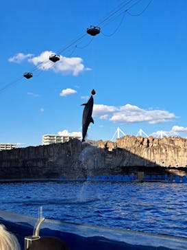 名古屋港水族館に投稿された画像（2024/10/11）