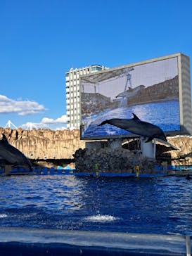 名古屋港水族館に投稿された画像（2024/10/11）