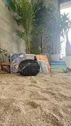 Artbar Okinawaに投稿された画像（2024/10/11）