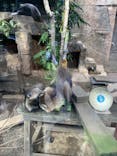 天王寺動物園に投稿された画像（2024/10/12）