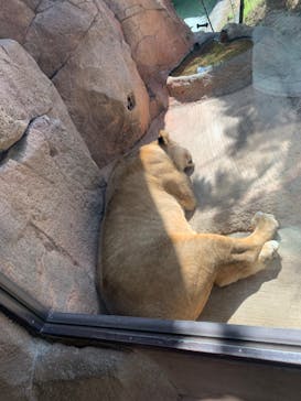 天王寺動物園に投稿された画像（2024/10/12）