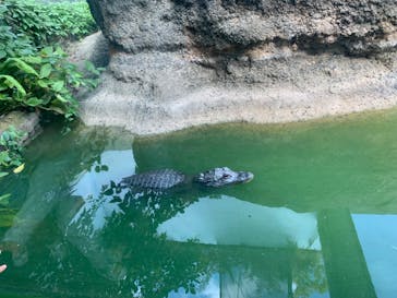 天王寺動物園に投稿された画像（2024/10/12）
