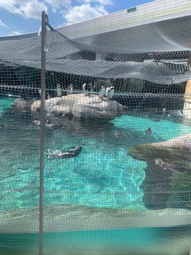 天王寺動物園に投稿された画像（2024/10/12）