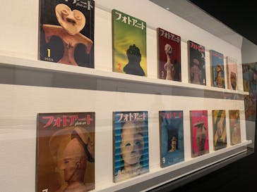 ハニワと土偶の近代（東京国立近代美術館）に投稿された画像（2024/10/12）