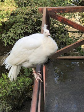 伊豆シャボテン動物公園に投稿された画像（2024/10/12）