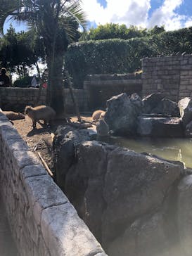 伊豆シャボテン動物公園に投稿された画像（2024/10/12）