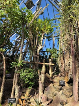 伊豆シャボテン動物公園に投稿された画像（2024/10/12）