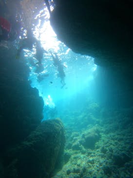 武藤潜水に投稿された画像（2024/10/12）