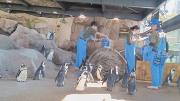 京都水族館に投稿された画像（2024/10/12）
