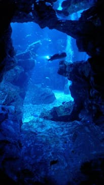 京都水族館に投稿された画像（2024/10/12）