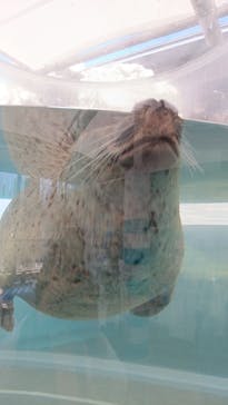 京都水族館に投稿された画像（2024/10/12）