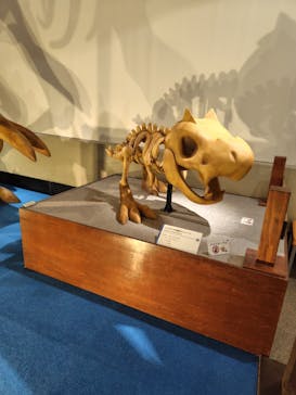 岐阜県博物館に投稿された画像（2024/10/12）