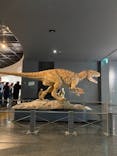 福井県立恐竜博物館に投稿された画像（2024/10/12）