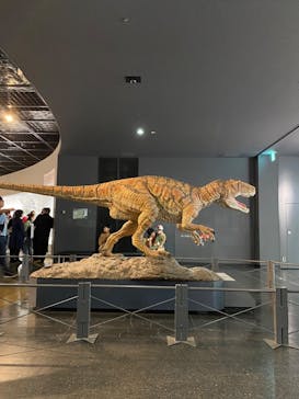 福井県立恐竜博物館に投稿された画像（2024/10/12）