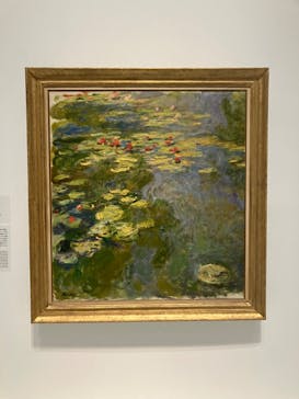 モネ 睡蓮のとき（国立西洋美術館）に投稿された画像（2024/10/12）