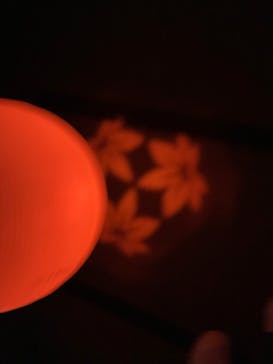 NAKED光の西本願寺2024 秋の特別公開に投稿された画像（2024/10/12）