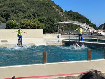 太地町立くじらの博物館に投稿された画像（2024/10/12）