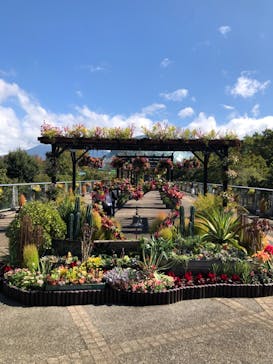 とっとり花回廊に投稿された画像（2024/10/12）