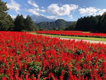 とっとり花回廊に投稿された画像（2024/10/12）
