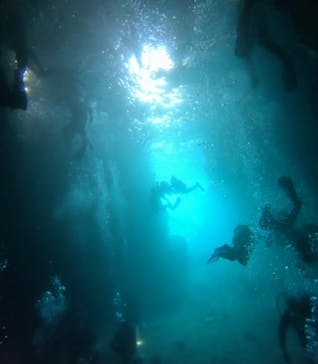 青の洞窟専門店　沖縄ダイビングショップ和に投稿された画像（2024/10/12）