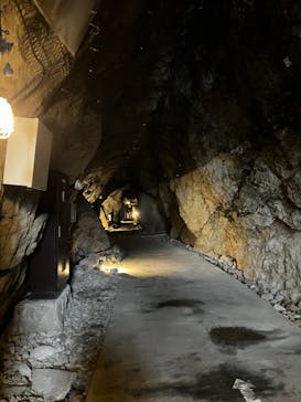 新江ノ島水族館×岩屋に投稿された画像（2024/10/12）