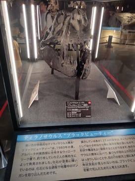 福井県立恐竜博物館に投稿された画像（2024/10/12）