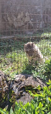 多摩動物公園に投稿された画像（2024/10/12）