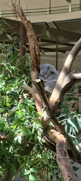 多摩動物公園に投稿された画像（2024/10/12）