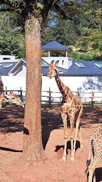 多摩動物公園に投稿された画像（2024/10/12）