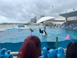 鴨川シーワールドに投稿された画像（2024/10/12）