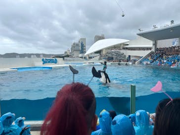 鴨川シーワールドに投稿された画像（2024/10/12）