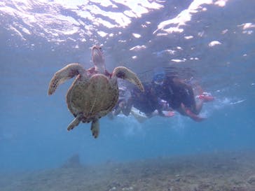 元気玉に投稿された画像（2024/10/12）