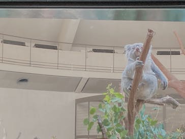 多摩動物公園に投稿された画像（2024/10/12）