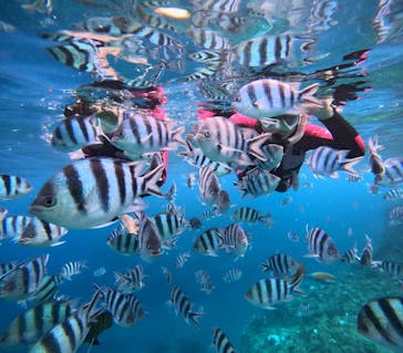 沖縄マリンサービス碧に投稿された画像（2024/10/12）