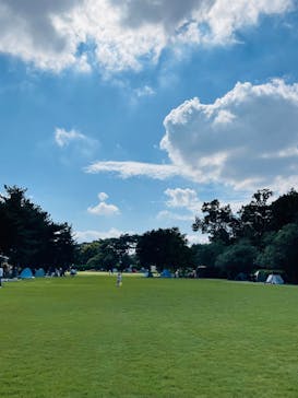 千葉こどもの国 キッズダムに投稿された画像（2024/10/12）