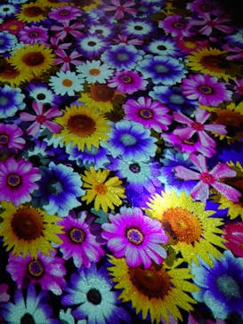 神戸ポートタワーに投稿された画像（2024/10/12）