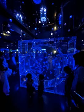 マクセル アクアパーク品川に投稿された画像（2024/10/12）