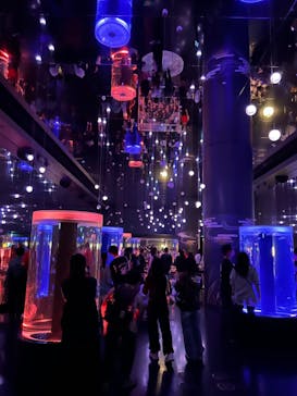 マクセル アクアパーク品川に投稿された画像（2024/10/12）