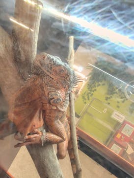 アニタッチ 東京ドームシティに投稿された画像（2024/10/12）