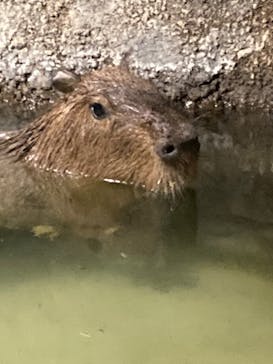 マクセル アクアパーク品川に投稿された画像（2024/10/12）