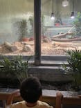 名古屋市東山動植物園に投稿された画像（2024/10/12）
