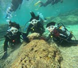 沖縄マリンサービス碧に投稿された画像（2024/10/12）