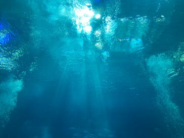 沖縄美ら海水族館に投稿された画像（2024/10/12）