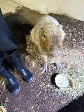 マクセル アクアパーク品川に投稿された画像（2024/10/12）