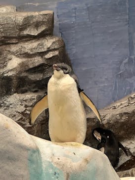 名古屋港水族館に投稿された画像（2024/10/12）