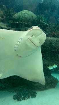 名古屋港水族館に投稿された画像（2024/10/12）