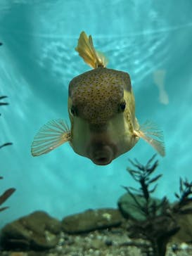 名古屋港水族館に投稿された画像（2024/10/12）